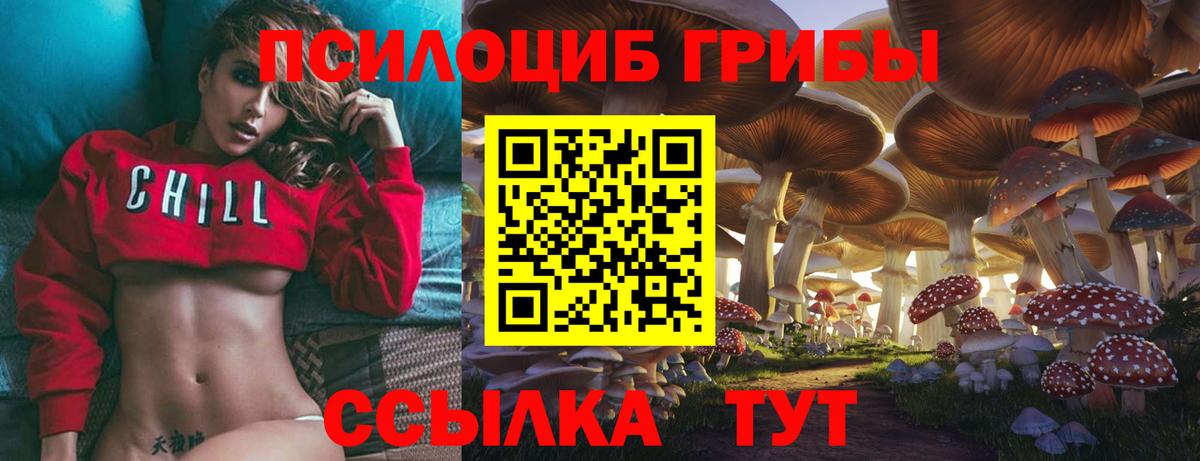 Долгопрудный  где продают   Псилоцибиновые грибы GOLDEN TEACHER  Вход с VPN  Галлюциногенные грибы GOLDEN TEACHER 